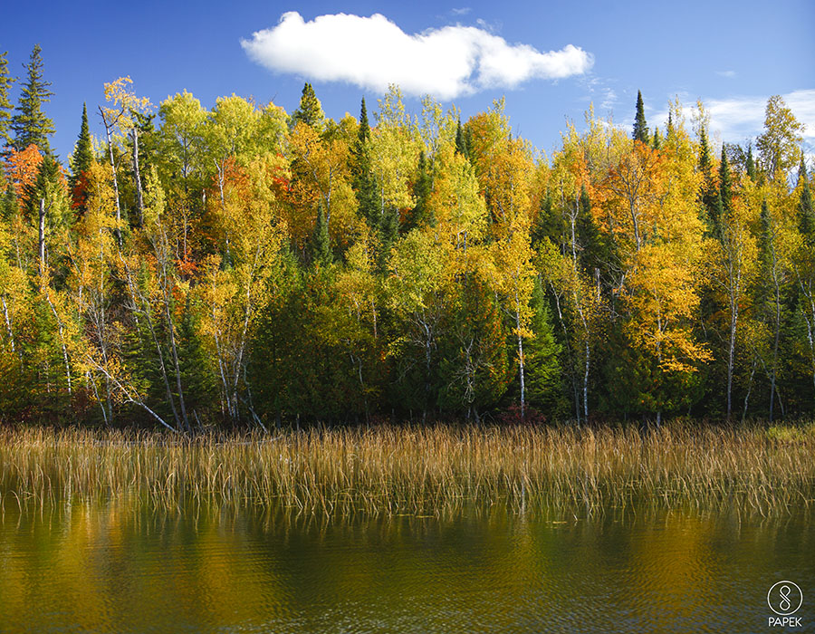 turtle lake in Minnesota