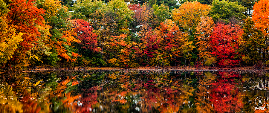 Fall color photography