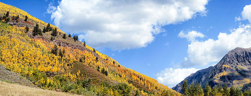 Fall into the season print