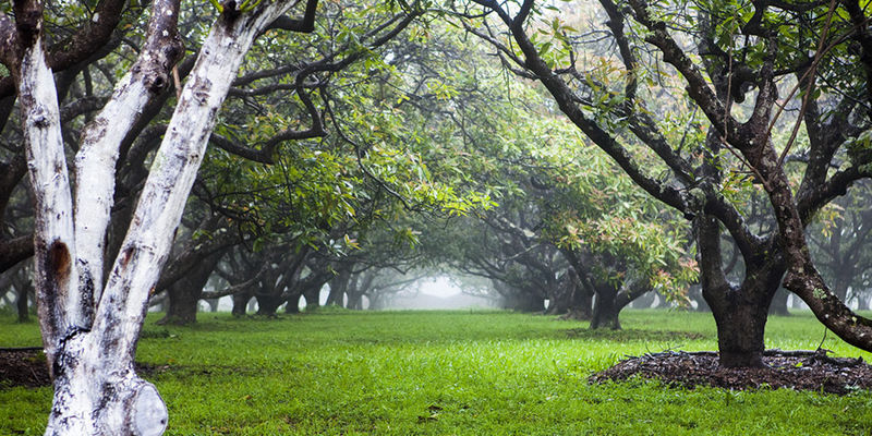 Follow Your Path print