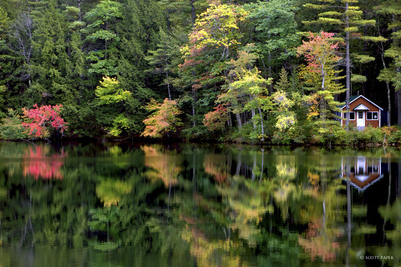 Autumn Reflections print