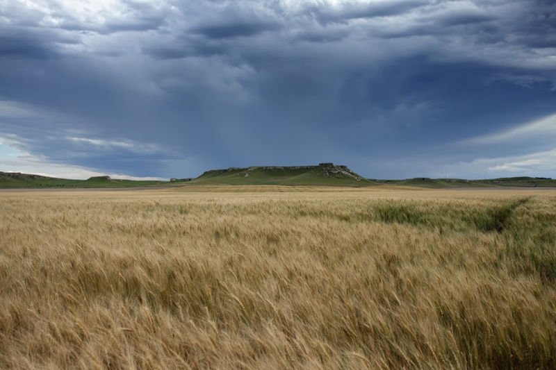 Scottsbluff print