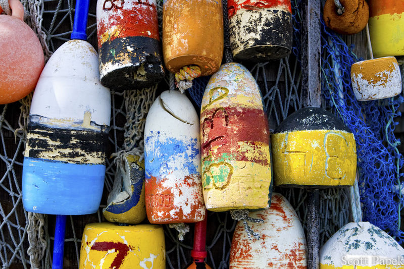 Rockport Lobster Buoy print