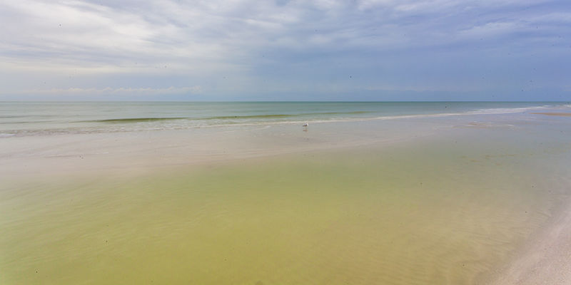 Naples Florida Beach print