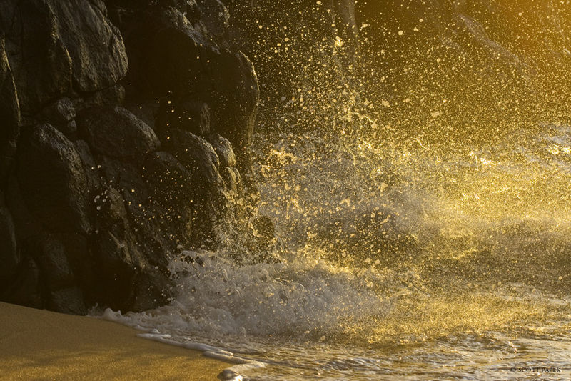 Kauai's Gold print