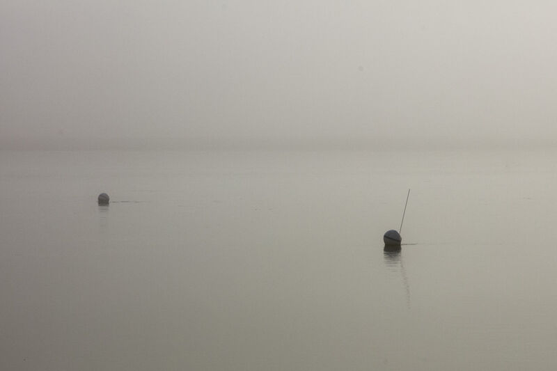 Live in Silence print