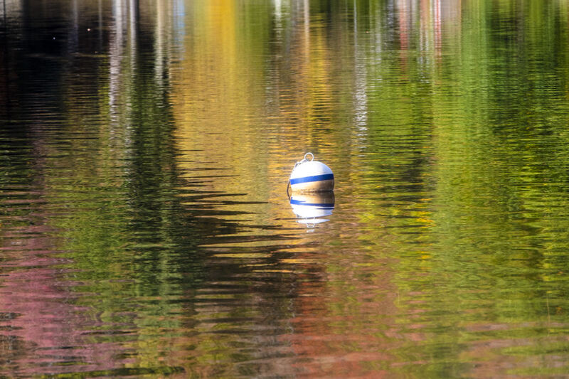Water_reflections print