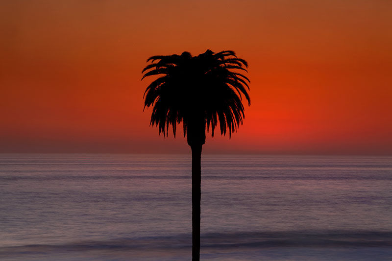 Moonlight Rush print