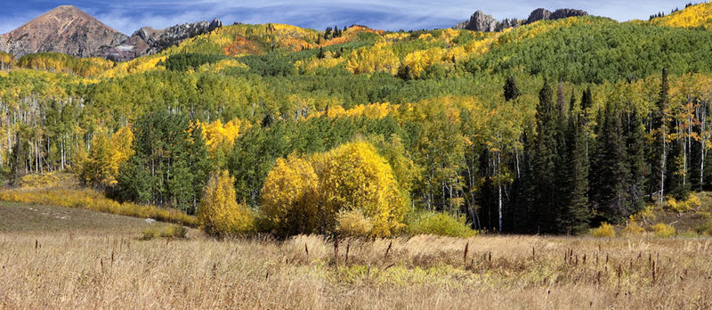 Nature's Color print