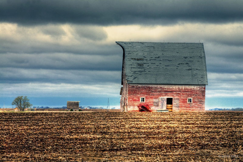 Still Standing print