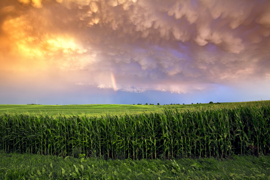Post Storm 2014 Nebraska Calendar, dramatic, storm, tornado, photography