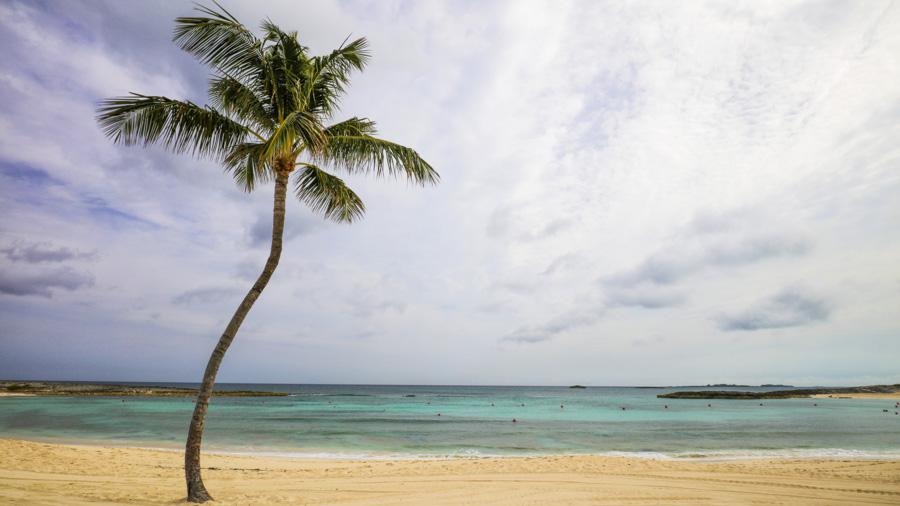 Solitude Attracted to the white sands and clear blue water of the Bahamas, Scott has been searching for a solo palm tree by the ocean...