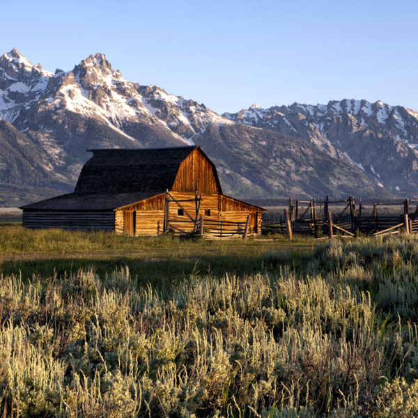 Colorado, Jackson Hole, Nature, Yellowstone, photography, prints
